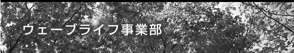 EF[uCtƕ