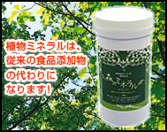 サイトイメージ
