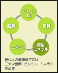 サイトイメージ